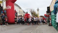 IMG_8921_bearbeitet_wz